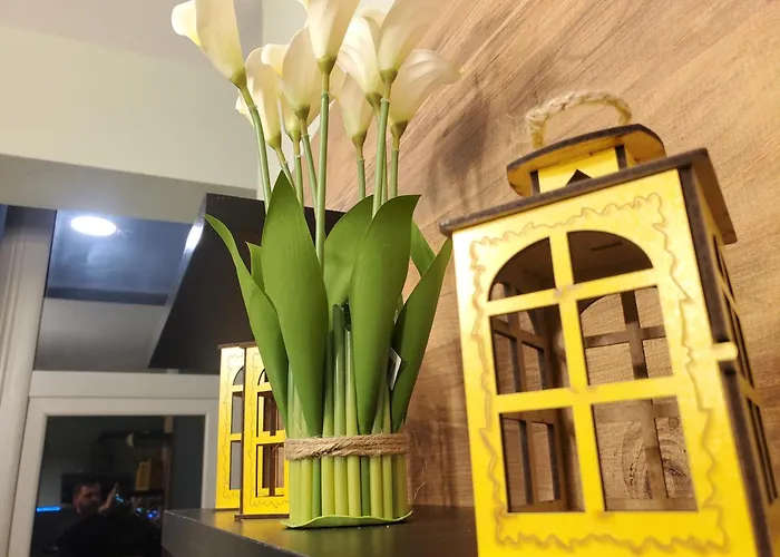 Cityscape 2br Kavaja St, 11 Fl, Dajti View *